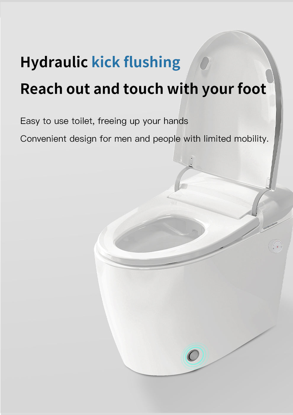 Kiyo Japanese Style Toilet & Bidet (Non-Electic)