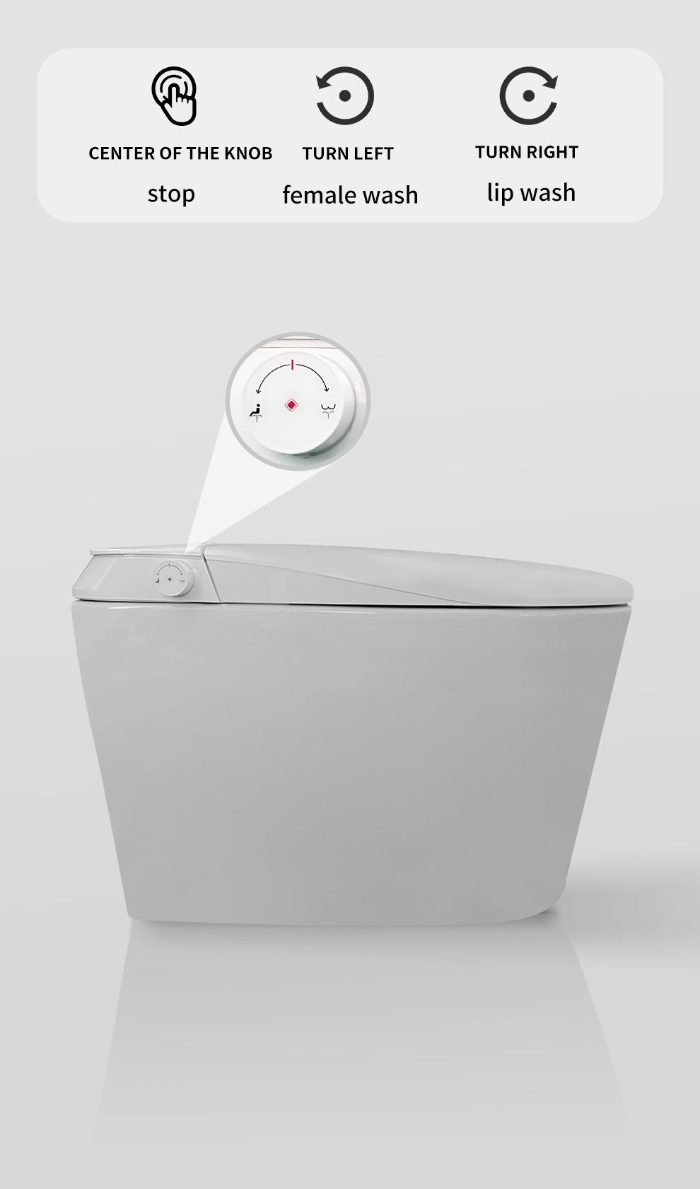 Junsui Japanese Style Toilet & Bidet (Non-Electic)