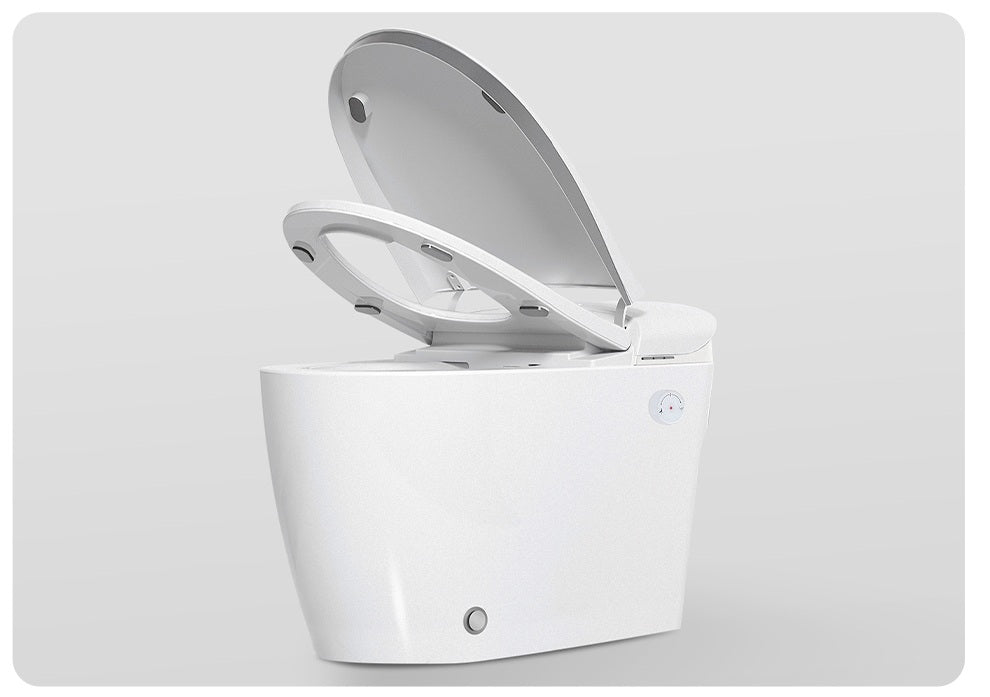 Kiyo Japanese Style Toilet & Bidet (Non-Electic)