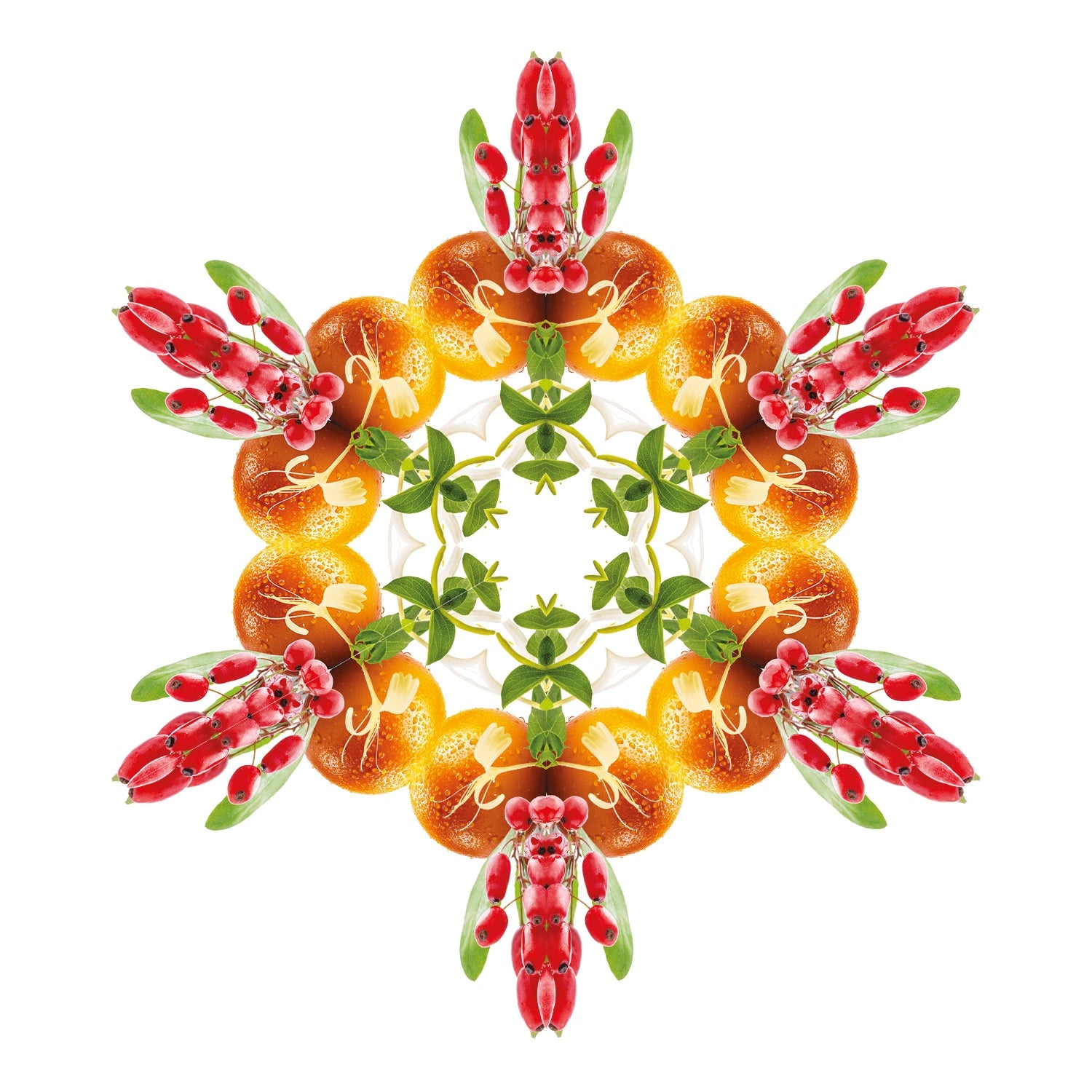 Goji Berries Bouquet Refill 200ml - Maison Berger Paris