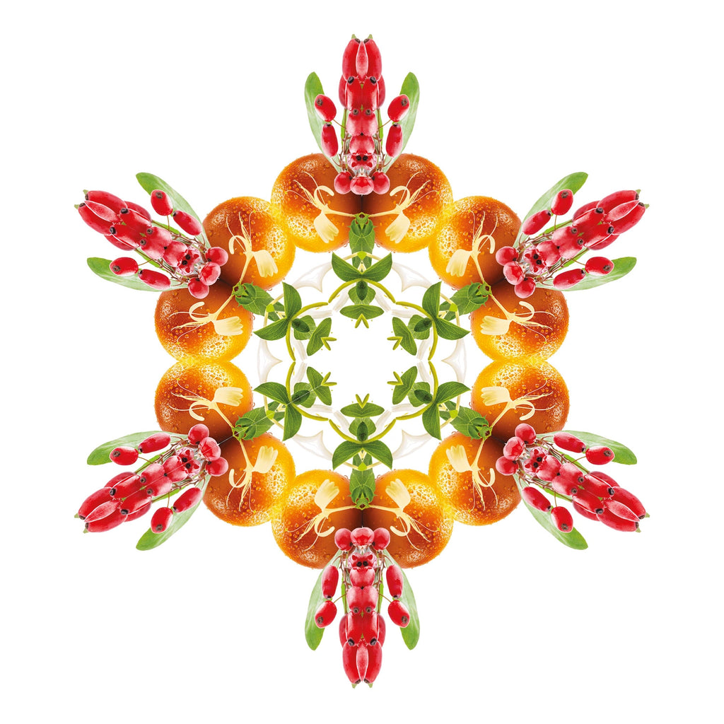 Goji Berries Clear Cube Scented Bouquet Diffuser