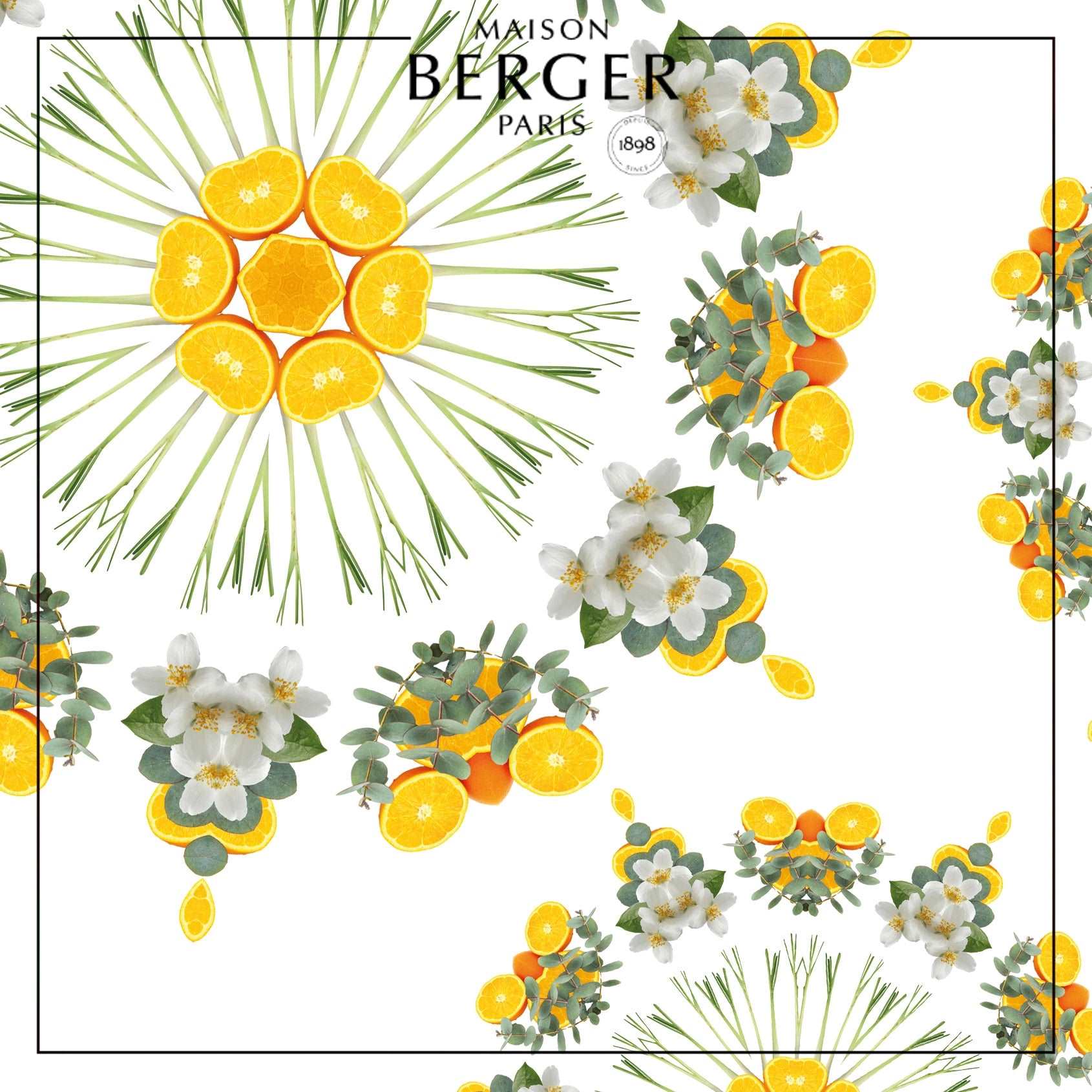 Citronella Bouquet Refill 200ml - Maison Berger Paris