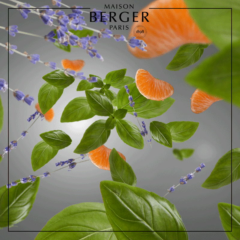 Fresh & Floral Kitchen Anti-Odour Scented Bouquet Refill 200ml - Maison Berger Paris