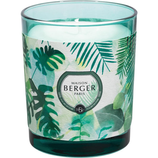 Immersion Eucalyptus Candle