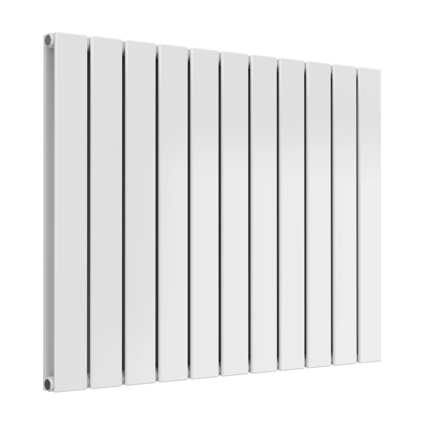 Flat Reina Horizontal Mild Steel Radiator