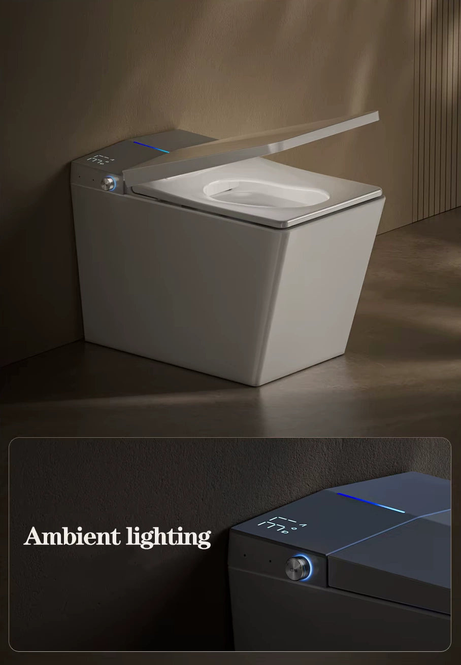 Mizu Tank+ High Tech Japanese Style Smart Toilet & Bidet