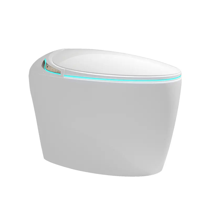 Ishikari Futuristic High-Tech Japanese Style Smart Toilet & Bidet