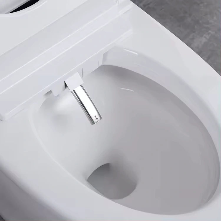 Shinpei Tank+ High-Tech All in One Japanese Style Smart Toilet & Bidet