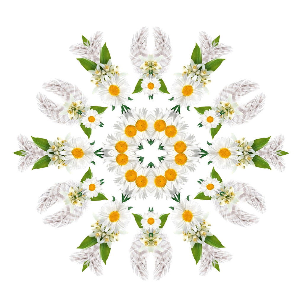 Cozy Musk Silver Car Diffuser Gift Set