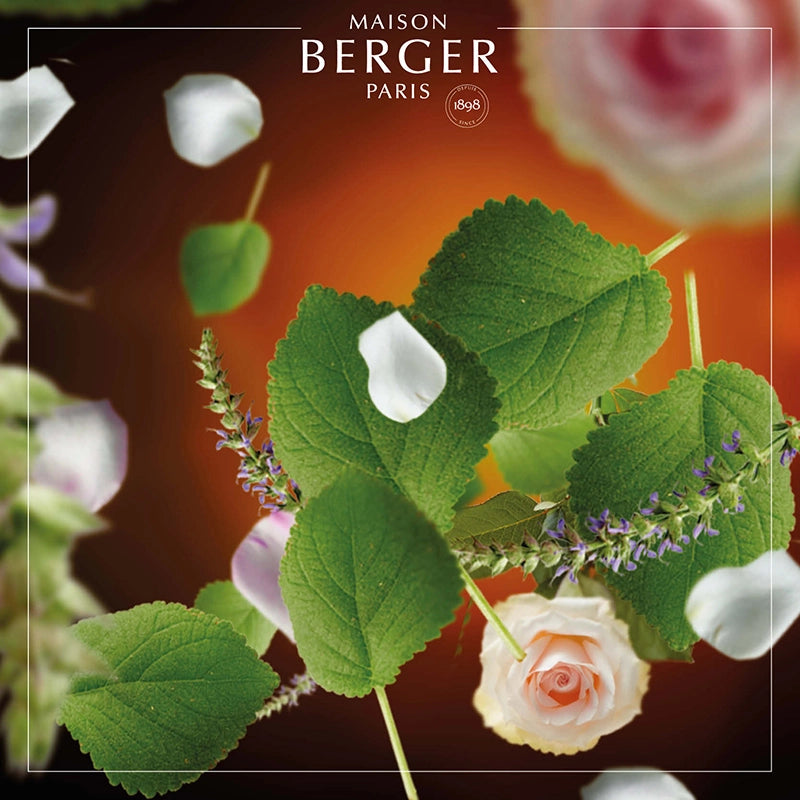 Mystery Patchouli Lamp Refill 500ml - Maison Berger Paris