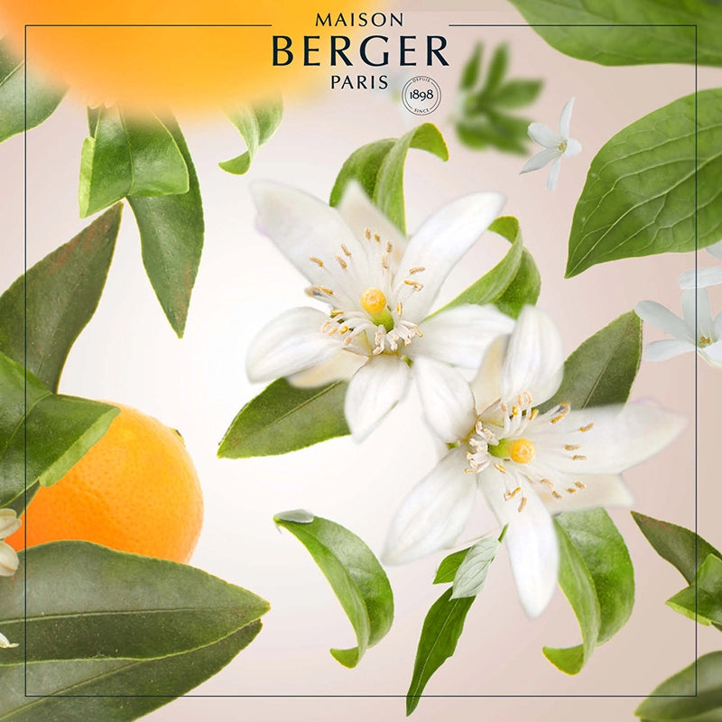 Lilly Nude Lampe Berger Gift Set