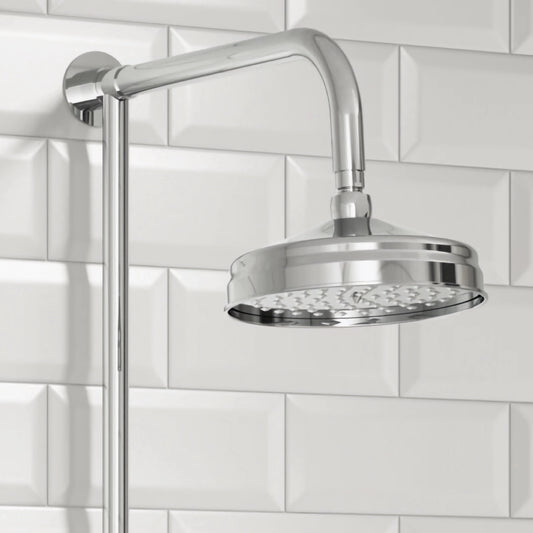 Traditional Stainless Steel Shower Head