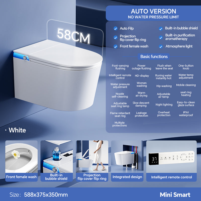 Aoi Shima Blue Stripe Japanese Style Smart Toilet & Bidet (Wall Hanging)