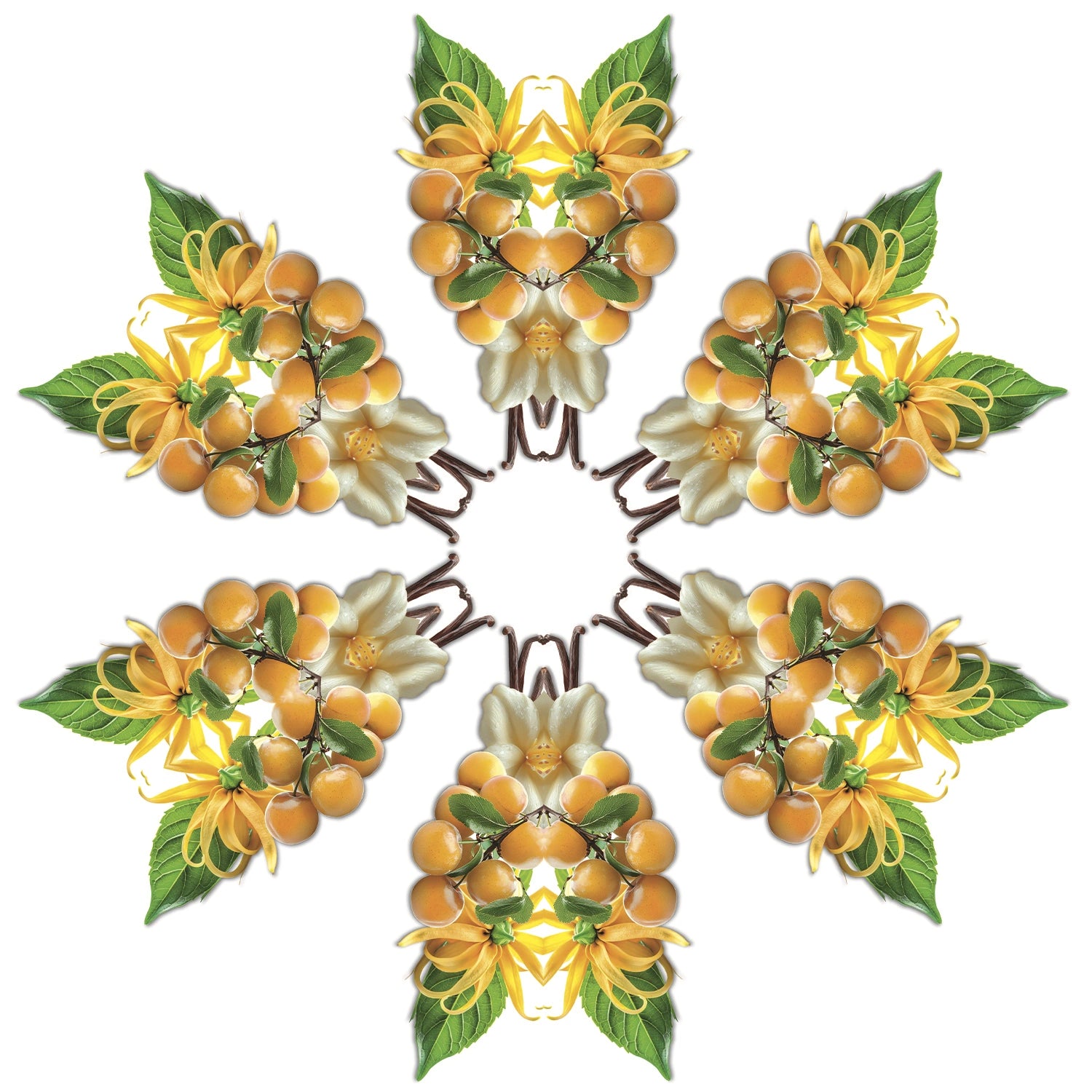 Fruity Sun Lamp Refill - Maison Berger Paris