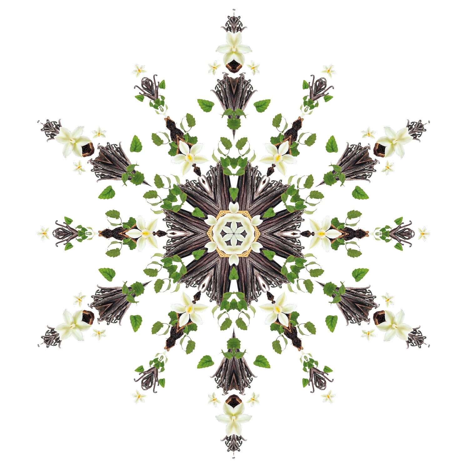 Vanilla Magnificence Lamp Berger Refill - Maison Berger Paris