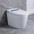 Shinpei Tank+ EX-DISPLAY High-Tech All in One Japanese Style Smart Toilet & Bidet