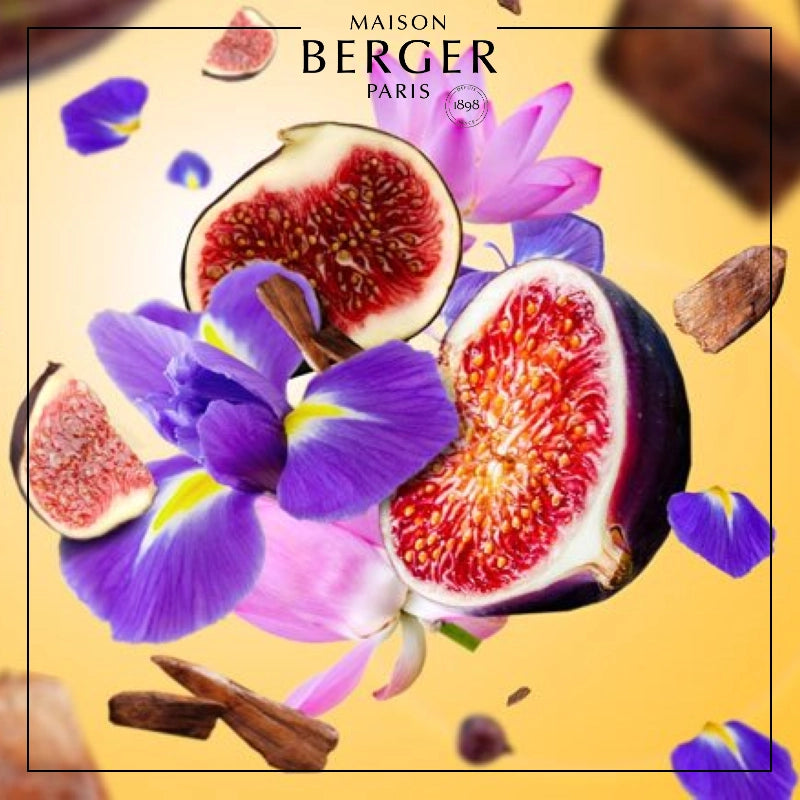 New Under the Fig Tree Lamp Refill - Maison Berger Paris