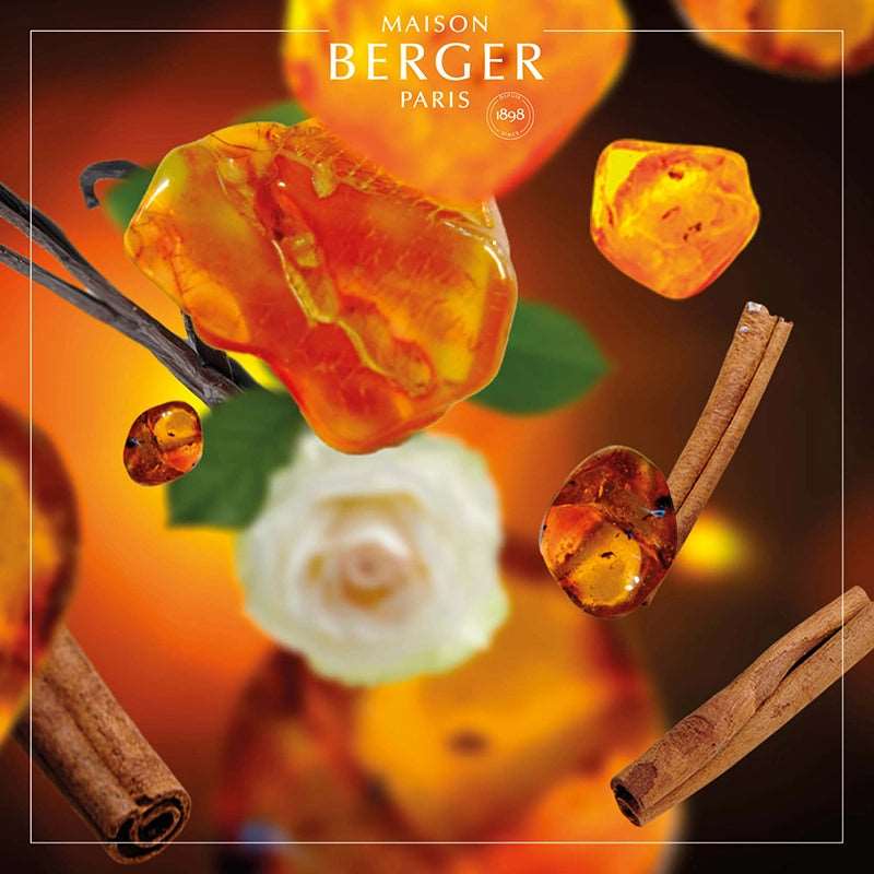 Amber Powder Lamp Refill - Maison Berger Paris