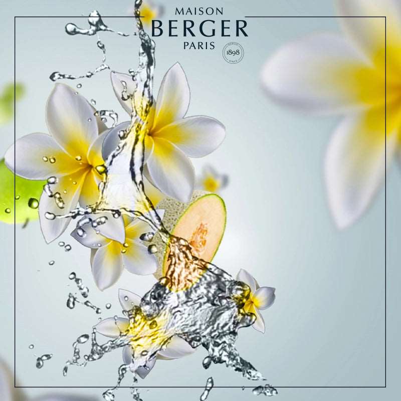 Aroma Happy Aquatic Freshness Bouquet Refill 200ml - Maison Berger Paris