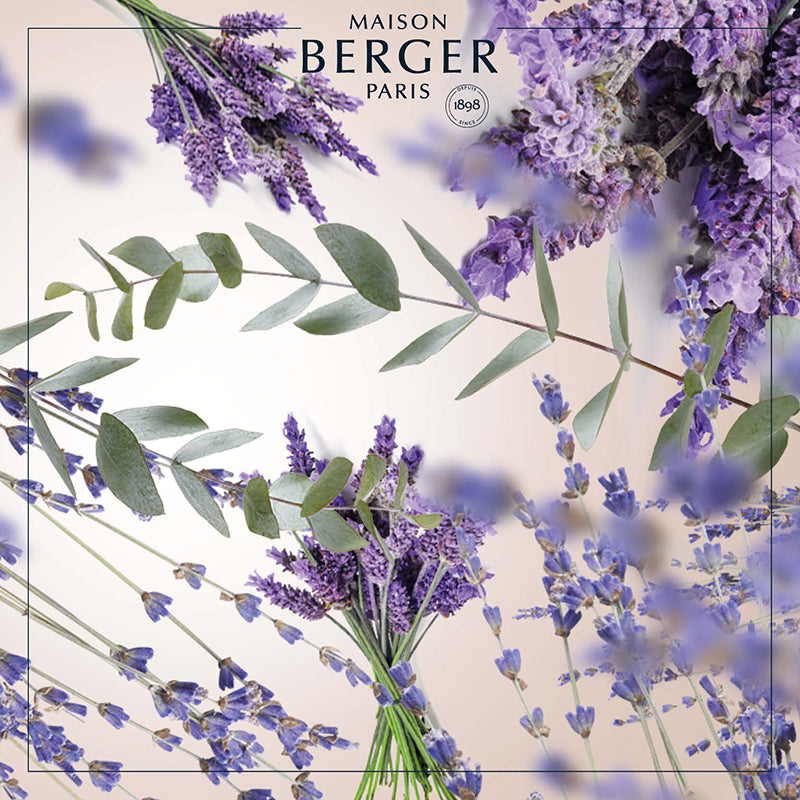 June Rosewood Lamp Berger Lavender Field Gift Pack
