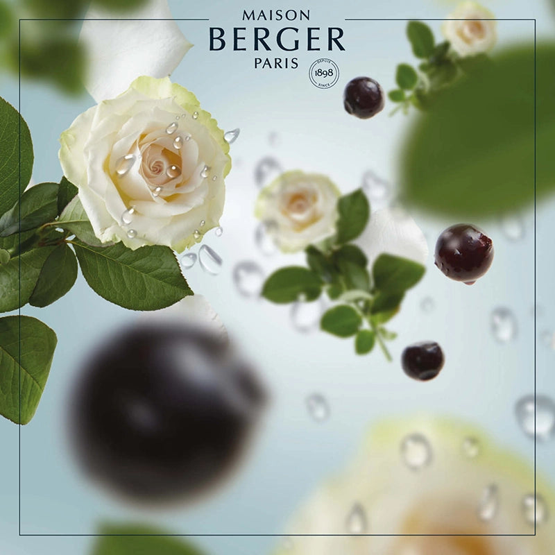 Ocean Breeze Lamp Refill - Maison Berger Paris