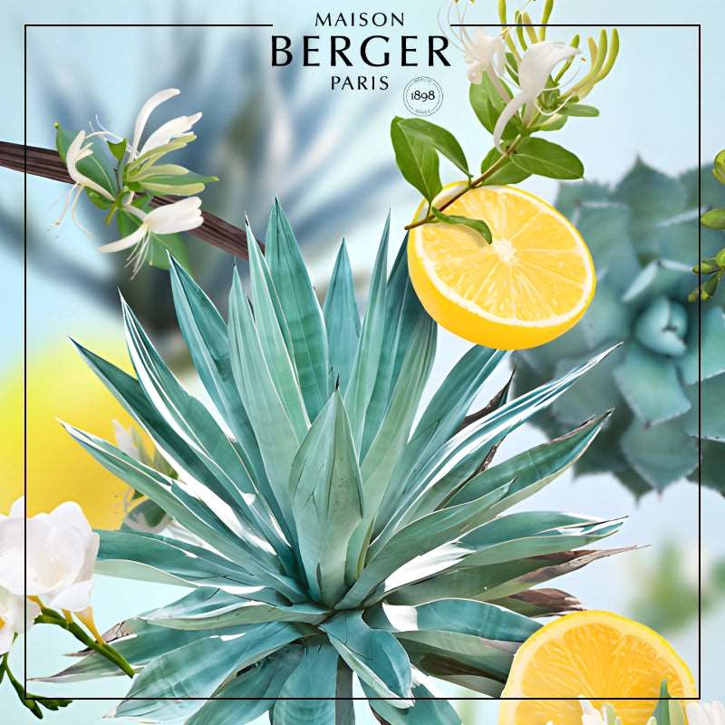 Agaves Gardens Lamp Refill - Maison Berger Paris