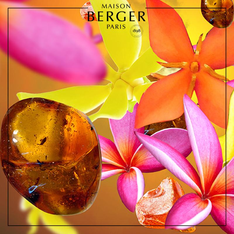 Amber's Sun Bouquet Refill 200ml - Maison Berger Paris