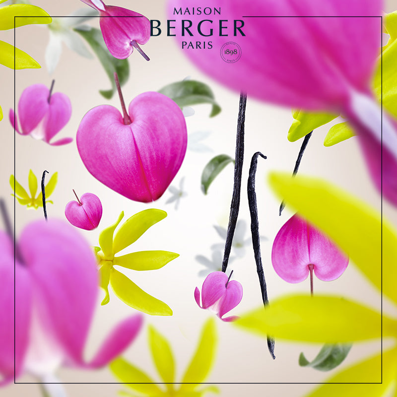 Aroma Love Bouquet Refill 200ml - Maison Berger Paris
