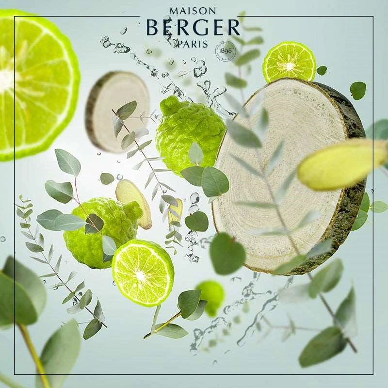 Aroma Wake-Up Bouquet Refill 200ml - Maison Berger Paris