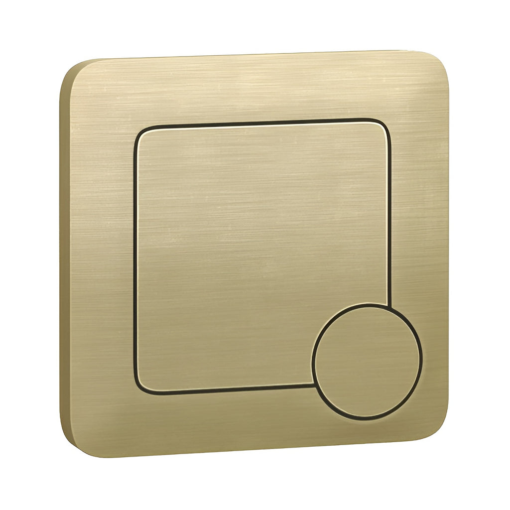 Square Brushed Brass Dual Flush Push Button & Plate