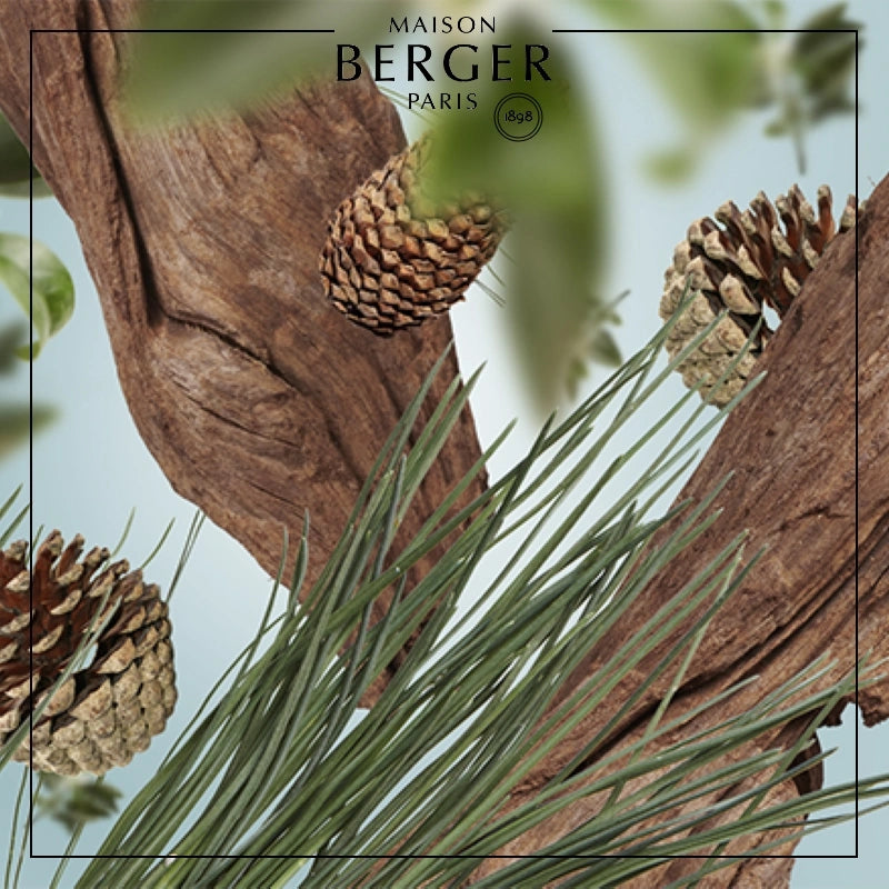 Festive Fir Lamp Berger Refill 500ml - Maison Berger Paris