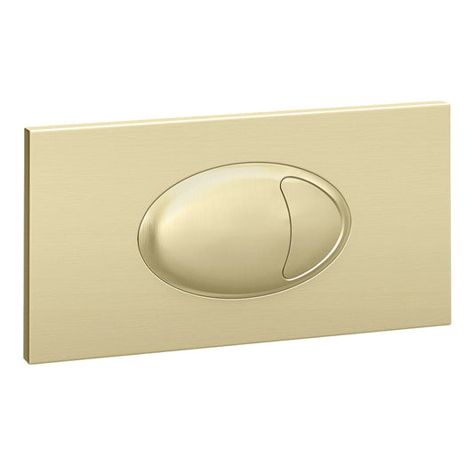 Large Brushed Brass Oval Dual Flush Push Button & Plate