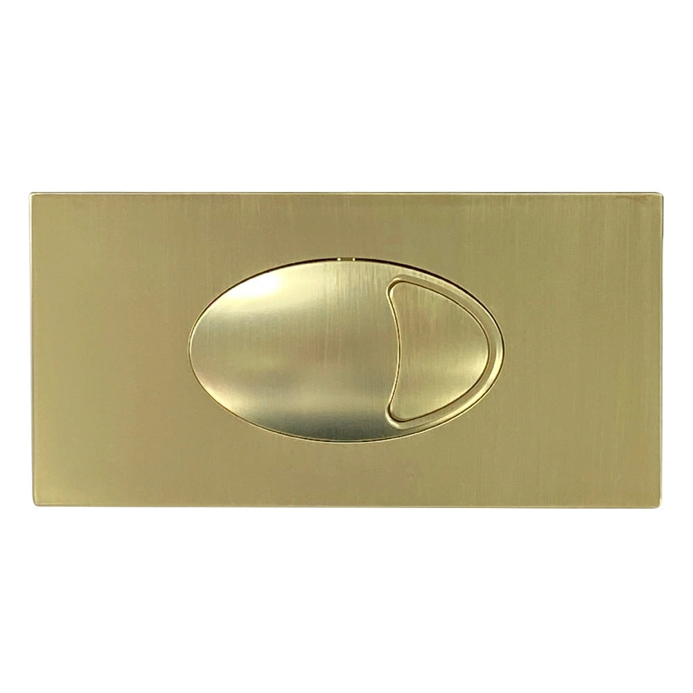 Large Brushed Brass Oval Dual Flush Push Button & Plate