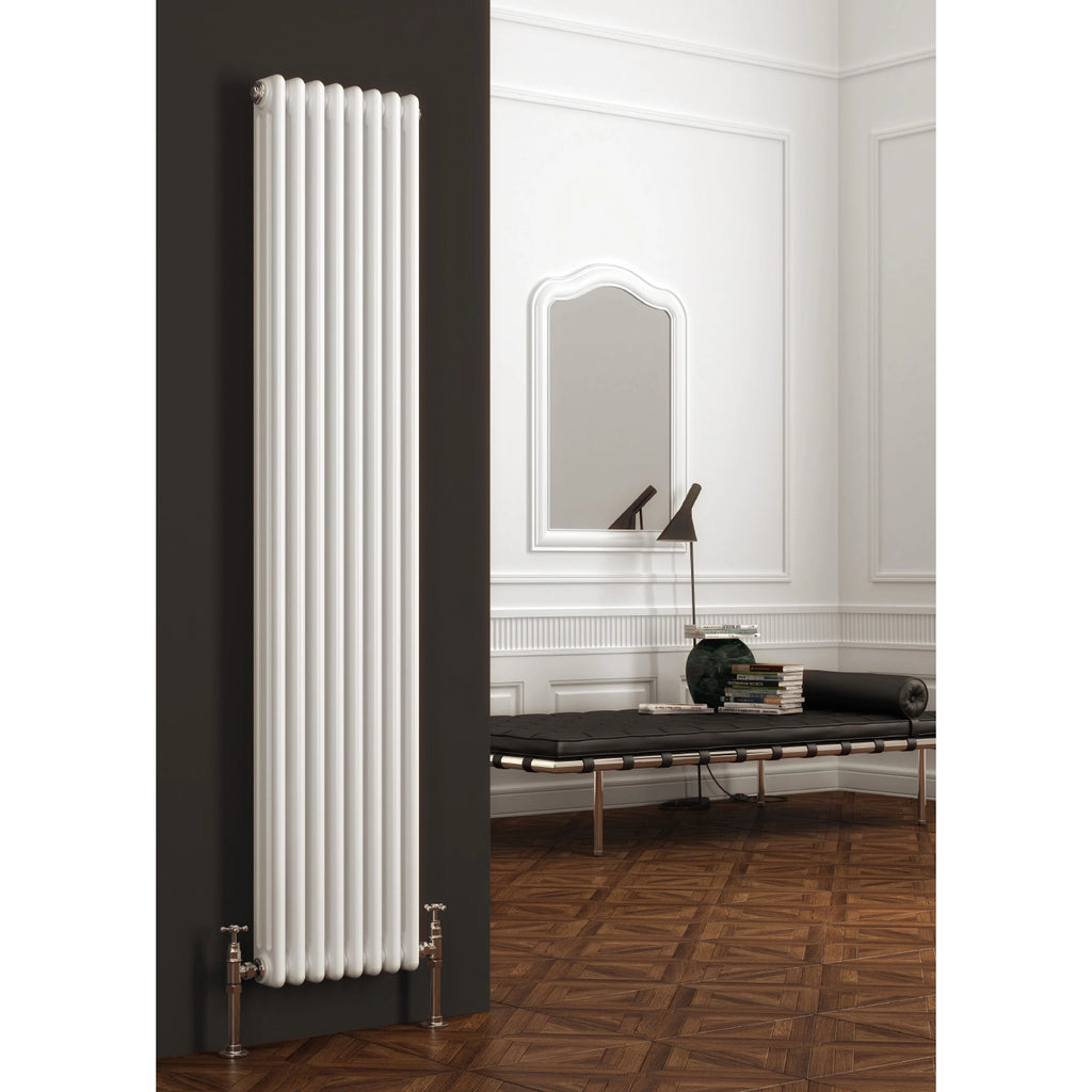 Colona Reina Vertical Mild Steel Radiator