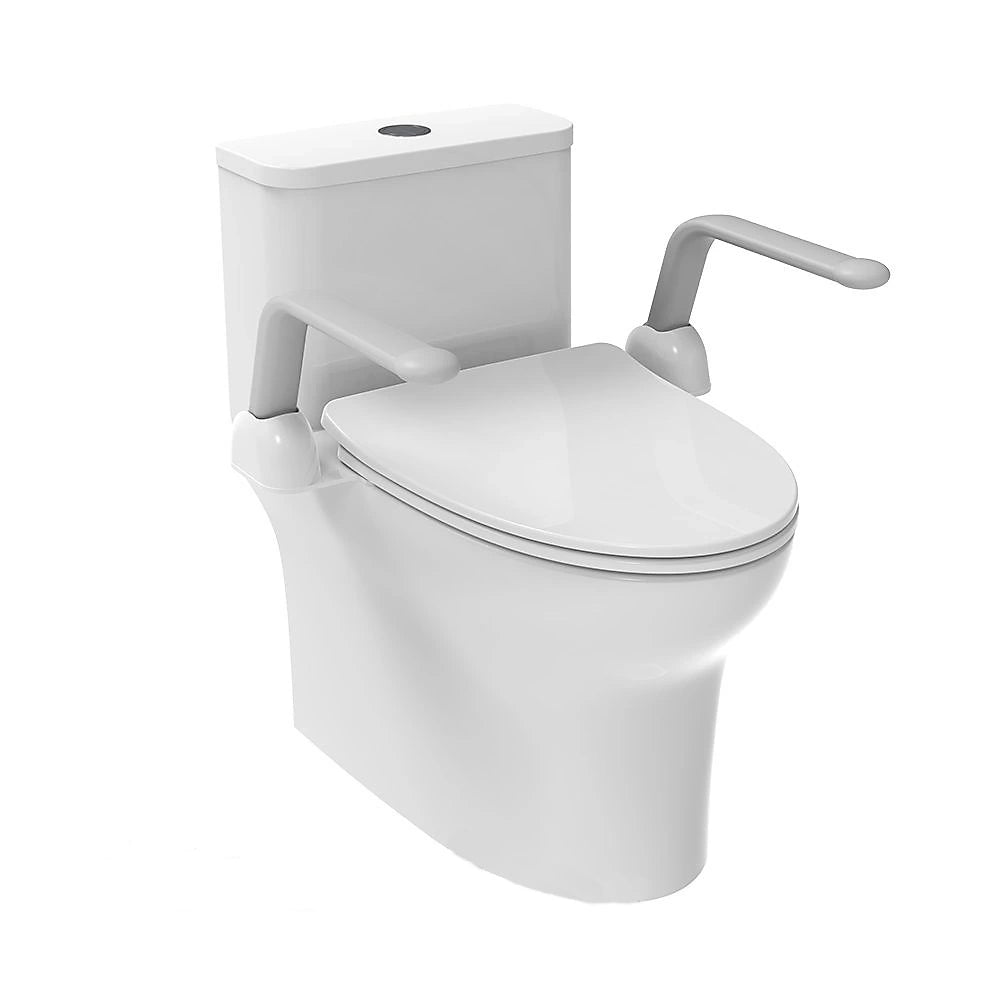 Strong Design Toilet Seat Arm Rest Euroshowers