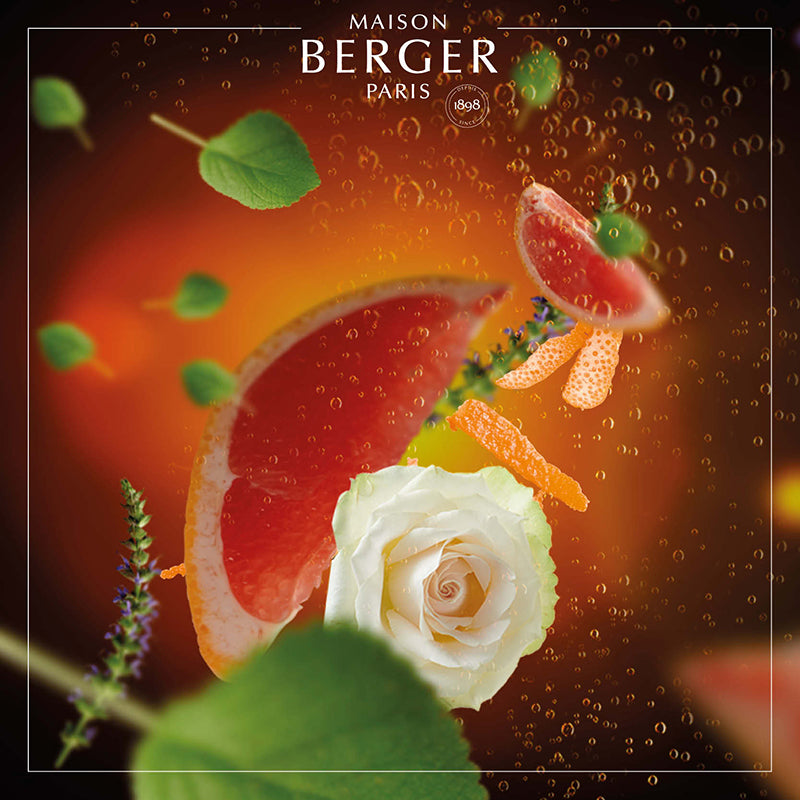 Exquisite Sparkle Bouquet Refill - Maison Berger Paris