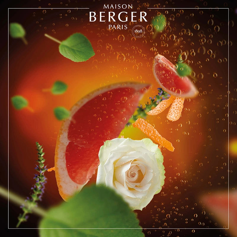 Exquisite Sparkle Bouquet Refill 200ml - Maison Berger Paris