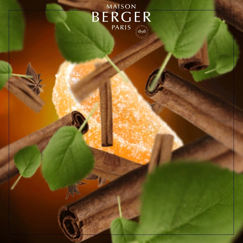 Festive Cinnamon Lamp Refill 500 ml - Maison Berger Paris