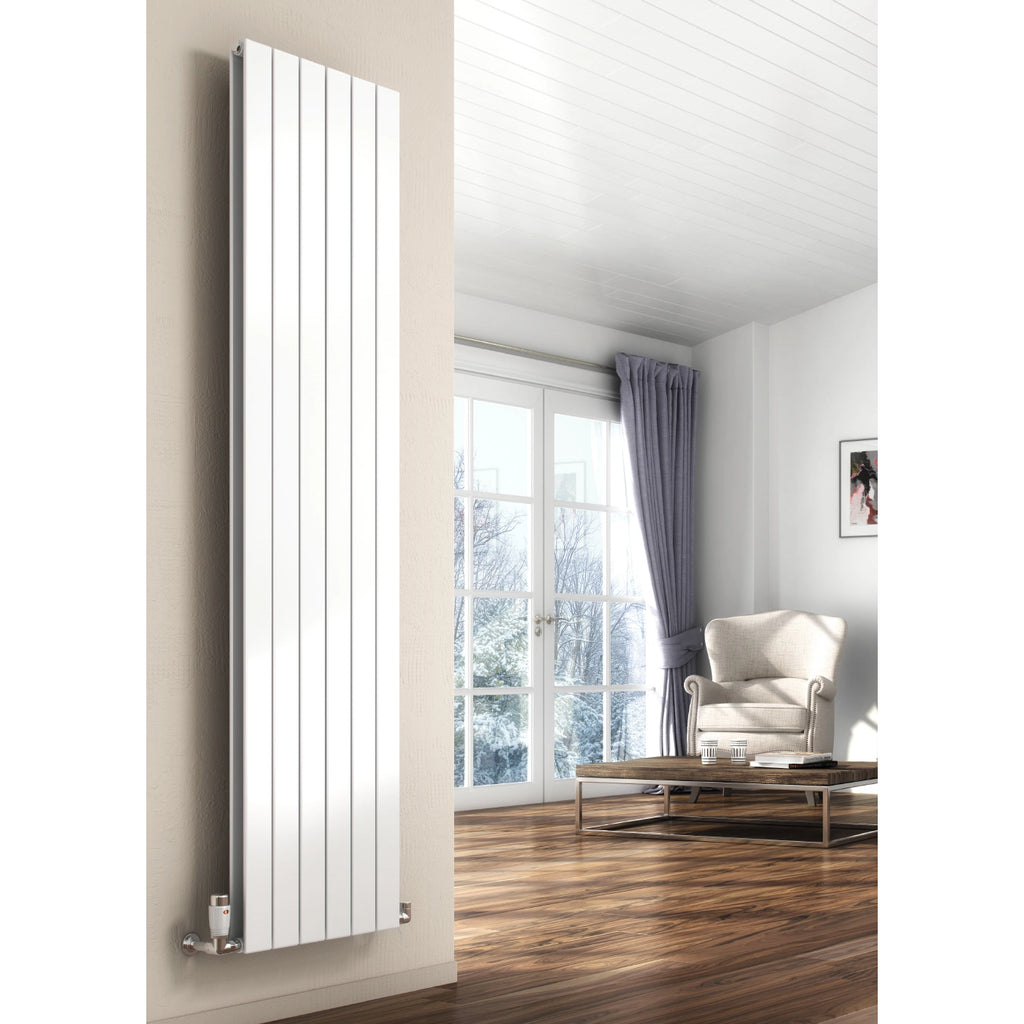 Flat Reina Vertical Mild Steel Radiator