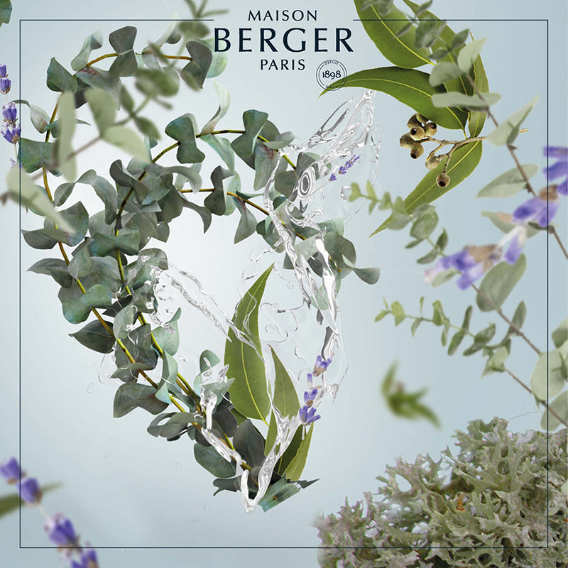 Fresh Eucalyptus Bouquet Refill 200ml - Maison Berger Paris