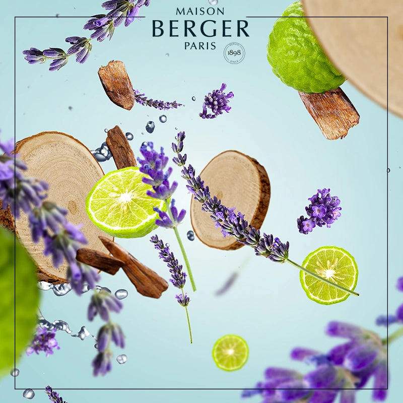 Fresh Wood Bouquet Refill 200ml - Maison Berger Paris