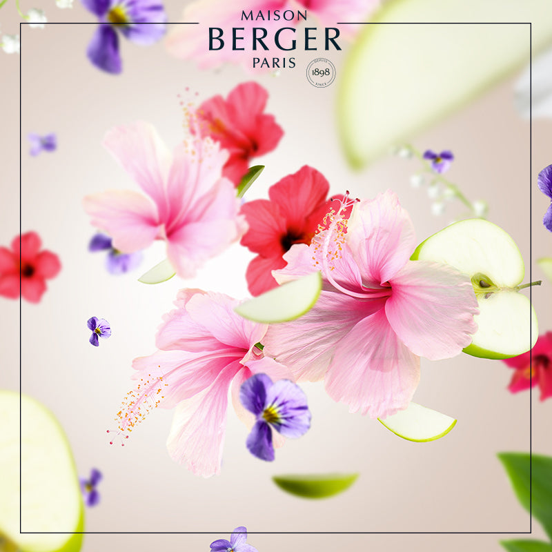 Hibiscus Love Bouquet Refill 200ml - Maison Berger Paris