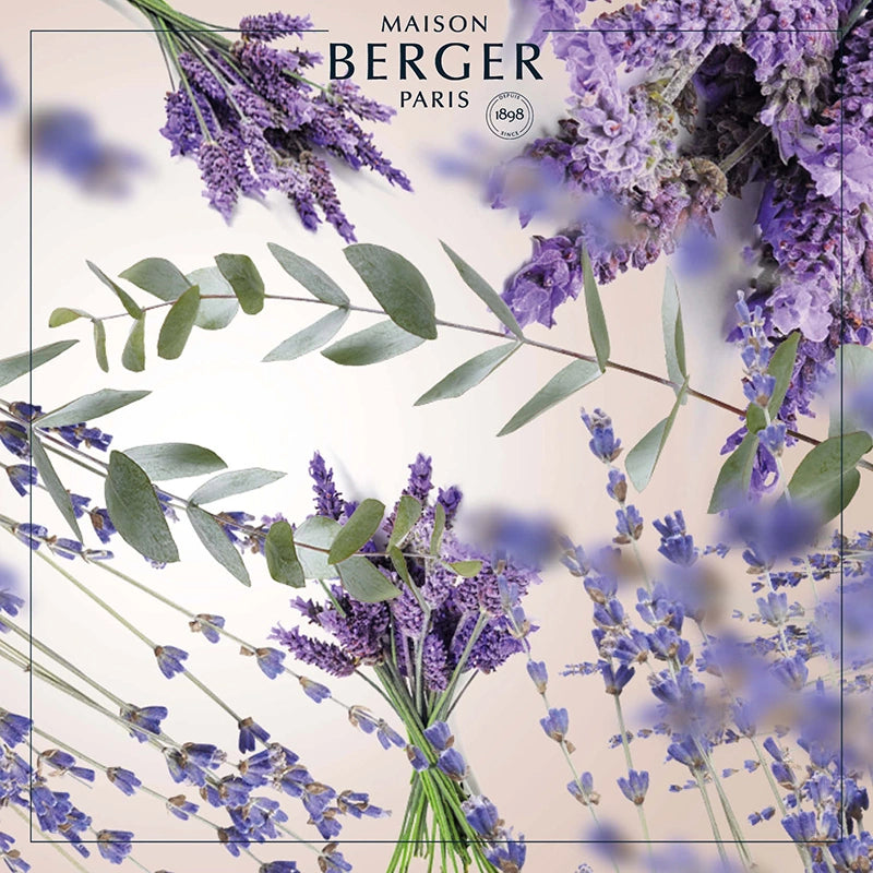 Lavender Fields Bouquet Refill 200ml - Maison Berger Paris