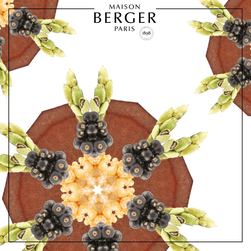 Evanescence Grey Mystic Leather Lamp Berger Gift Set