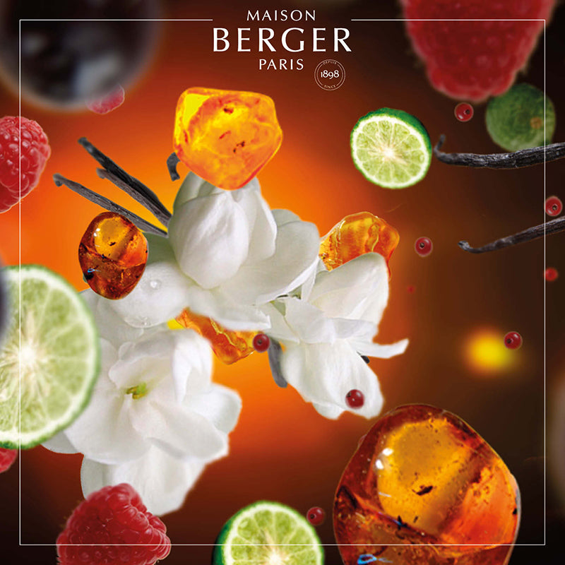 Oriental Star Bouquet Refill 200ml - Maison Berger Paris