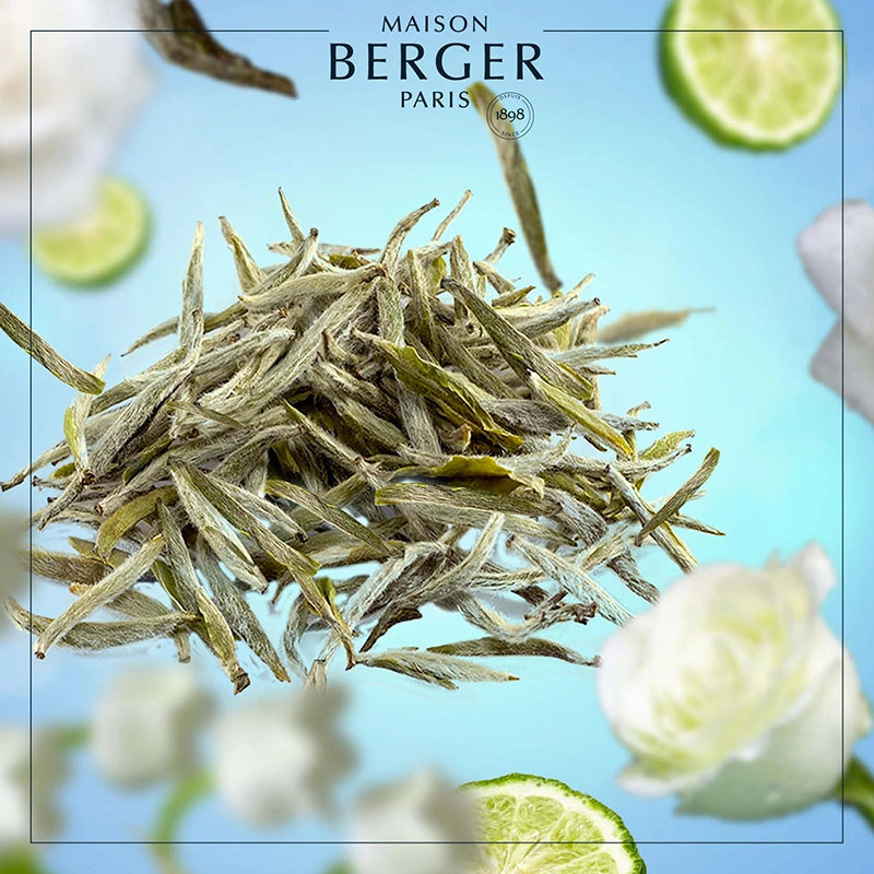 Pure White Tea Lamp Refill - Maison Berger Paris