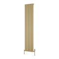 Reina Caldaro Brass Affect Vertical Aluminium Designer Radiator