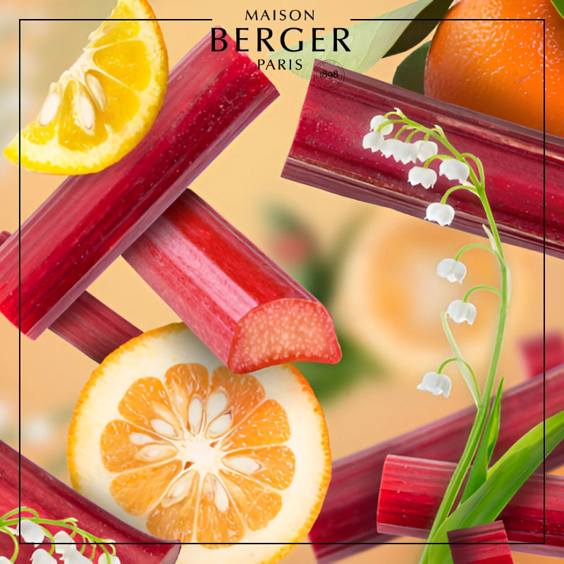 Rhubarb Radiance Bouquet Refill 200ml - Maison Berger Paris