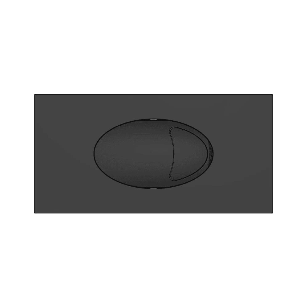 Large Black Dual Flush Push Button & Plate