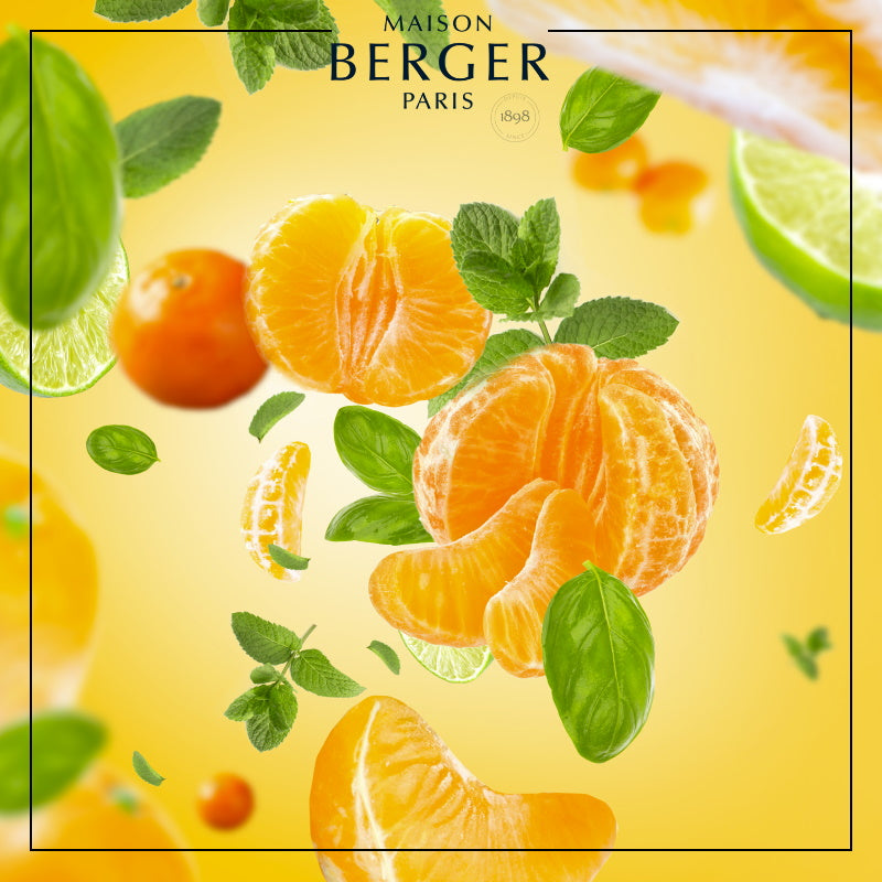 Savory Tangerine Lamp Refill 500ml - Maison Berger Paris